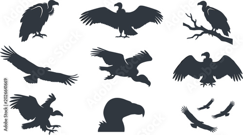 Foto Vulture Silhouette Vector Illustration Collection Featuring Flying Perching Hunt