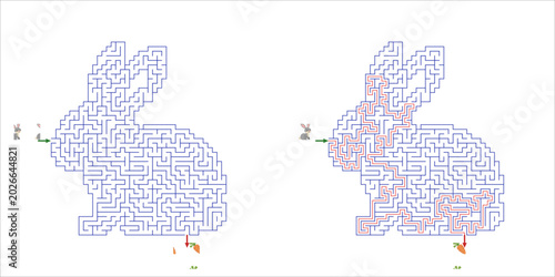 Rabbit maze design for children