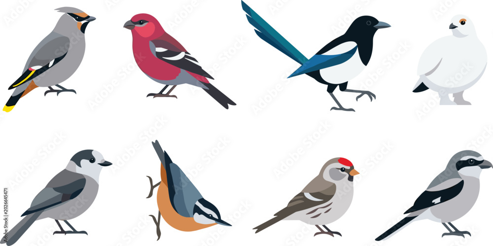 Obraz premium Colorful Songbird Vector Illustration Set Featuring Various Perching Flying and Standing Birds for Wildlife Nature Cartoon and Ornithology Design Projects