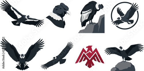 Foto Condor Vulture Bird Vector Illustration Collection Featuring Flying Perching and