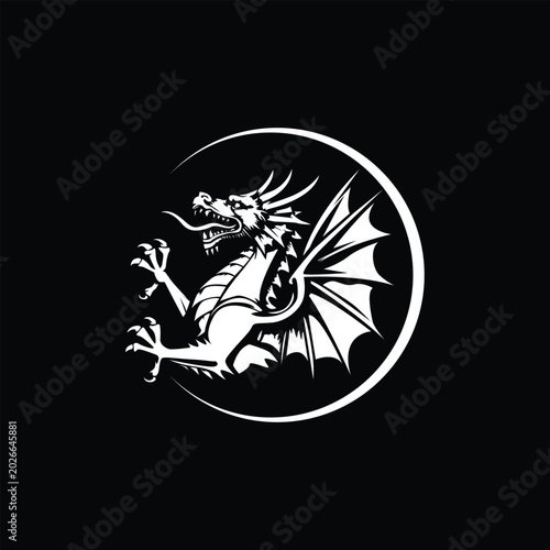 White Dragon Emblem on Black Background