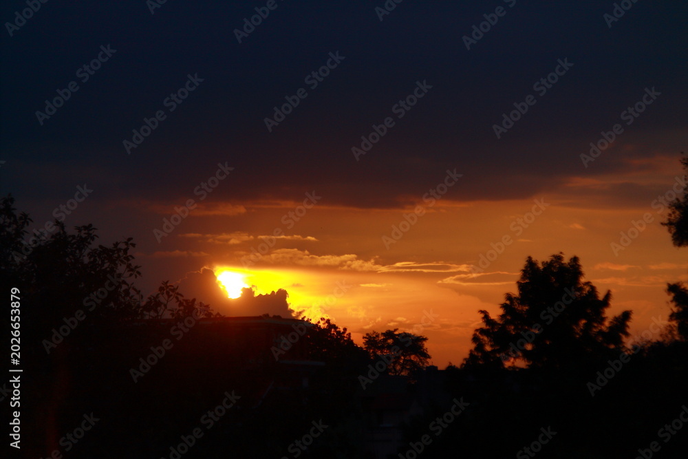Fototapeta premium Orange Sky With Tree Golden Sunset nature background photography