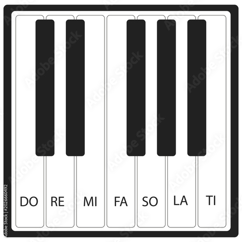 vector white and black piano keyboard