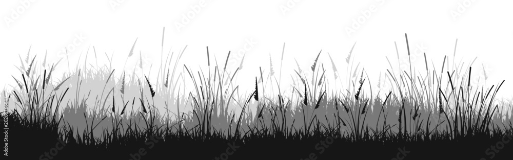 Fototapeta premium Meadow silhouette with grass, plants on plain. Panoramic summer lawn landscape with herbs, various weeds. Herbal border, frame element. Black horizontal banners. Vector illustration