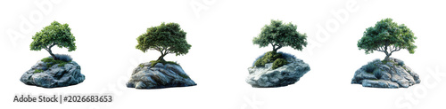 Collection of four small green bonsai trees growing on natural rocks isolated on transparent background
