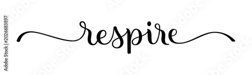 RESPIRE (BREATHE in French) black brush lettering banner on transparent background