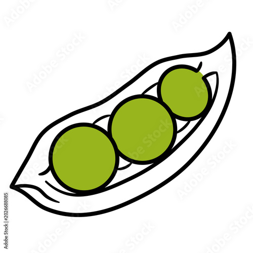 фотографія Suitable for vegan recipe books, healthy food blogs, or farmfresh produce posters