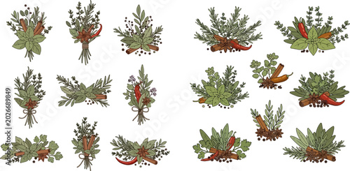 Foto Collection of various fresh herbs and spices, including chili peppers, for cooking and culinary use