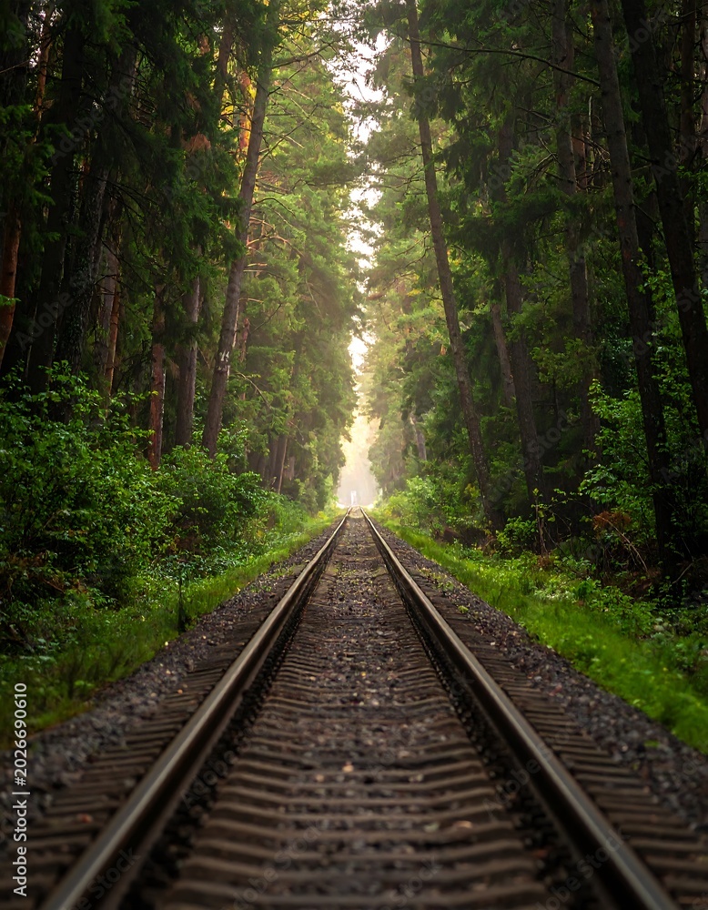 Fototapeta premium Railway tracks through dense green forest leading towards sunlight