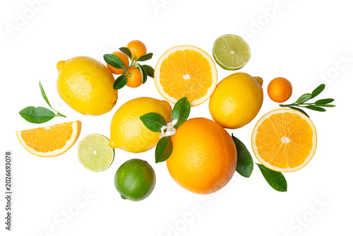 Various ripe citrus fruits whole and slices with green leaves on transparent background