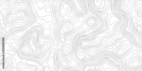 Bild auf Leinwand Topographic map lines forming an abstract pattern on a white background, representing elevation changes and geographical contours, ideal for design and scientific illustration
