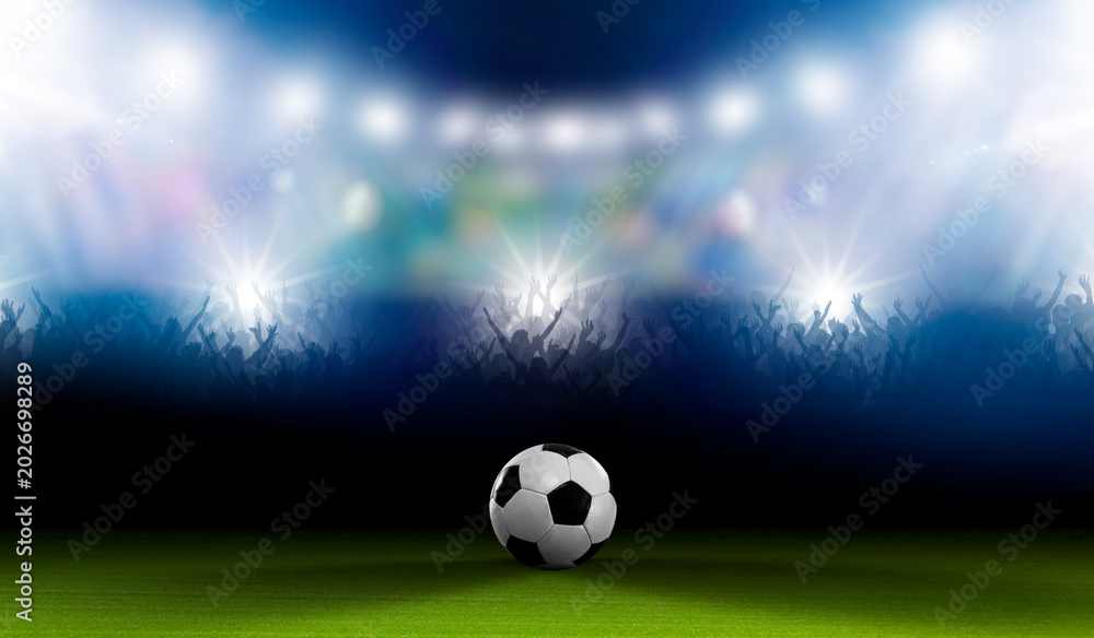 Fototapeta premium Fussball in einem Fussballstadion mit Fans im Hintergrund