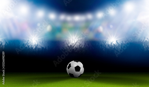 Fussball in einem Fussballstadion mit Fans im Hintergrund