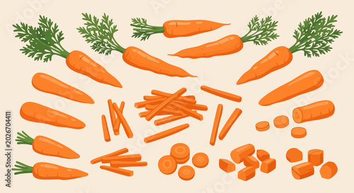 Carrot Set Whole Sliced Diced and Julienne Vegetable Illustration