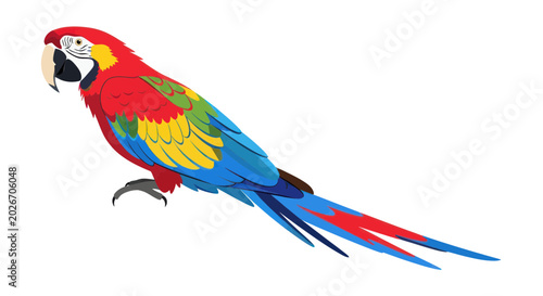 Foto Colorful Macaw Parrot Bird Illustration