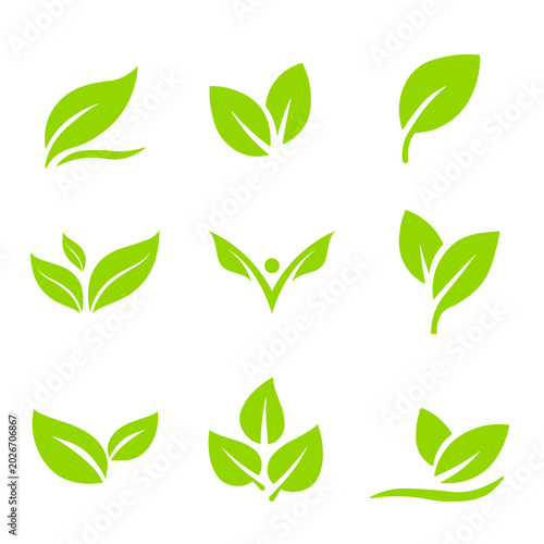 Bright lime green leaf outlines, fresh organic sprout graphic stickers, minimalist spring foliage vector icons