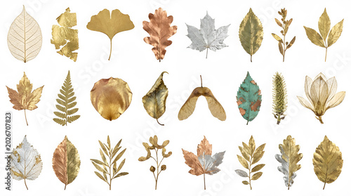 Assortment of dried autumn leaves in various metallic colors with white