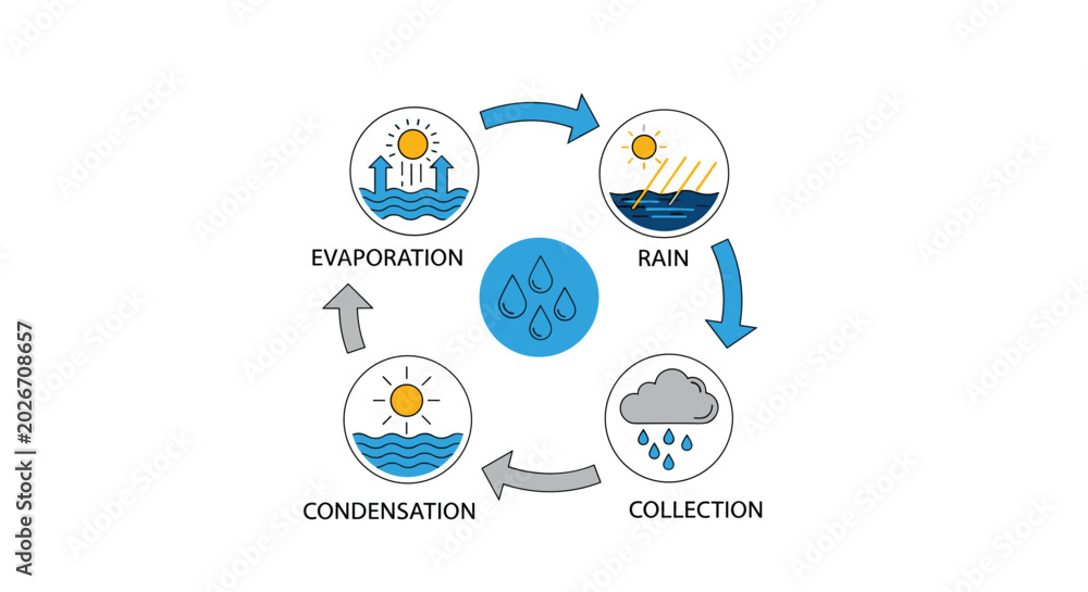 Fototapeta premium Water cycle diagram with evaporation condensation rain collection circular arrows educational science vector illustration design