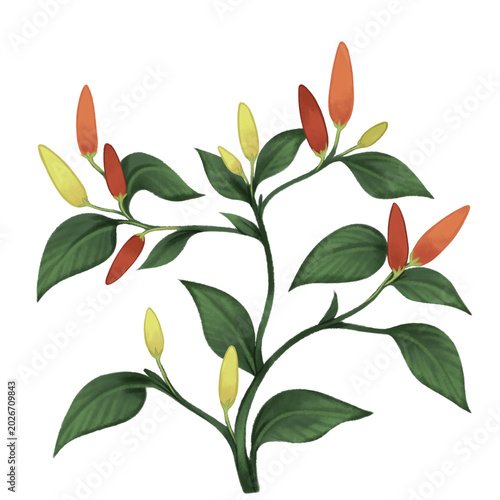Tableau sur toile Artsy Abundant Chili peppers fruit Plant Digital Illustration