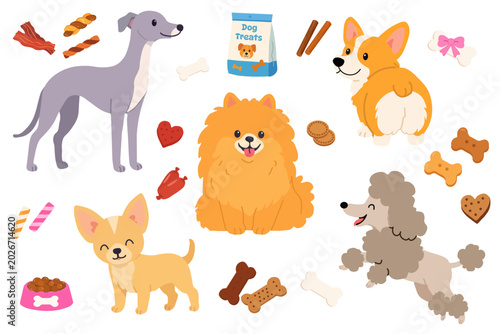 Domestic dog breeds collection with fluffy pomeranian happy corgi grey greyhound small chihuahua brown poodle treat package bones and dry snacks isolated on white background
