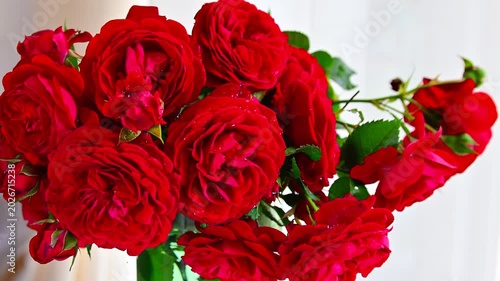 リビングの窓際に飾る真っ赤な薔薇
