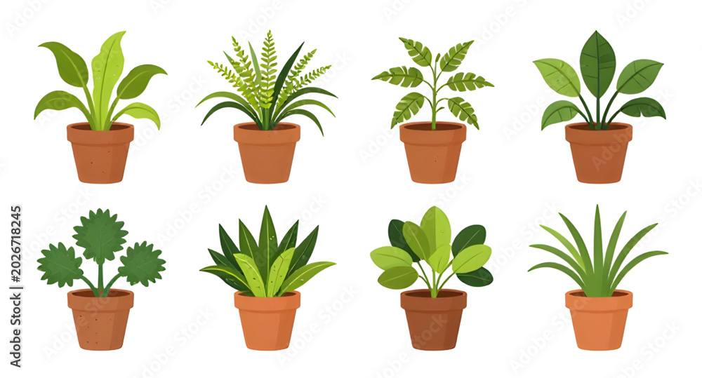 Fototapeta premium potted, houseplants, plants, botanical, indoor, greenery, leaves, nature, decor, succulent, tropical, gardening, flatdesign, vector, illustration, isolated, collection