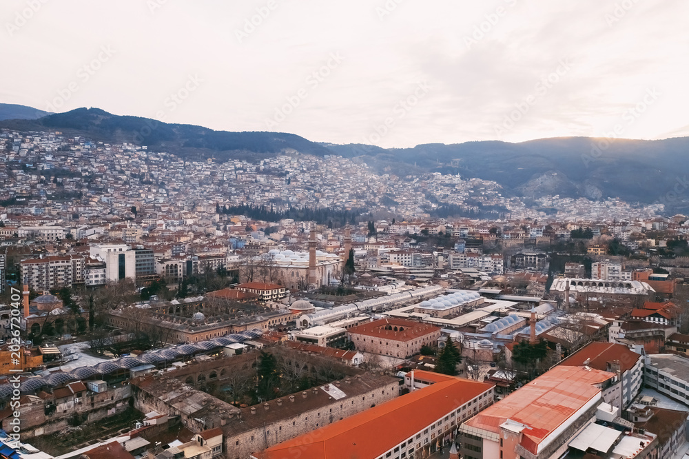Obraz premium Ulu Mosque appears in a broad perspective, showing its domes, trees around the courtyard and the urban buildings of Bursa.