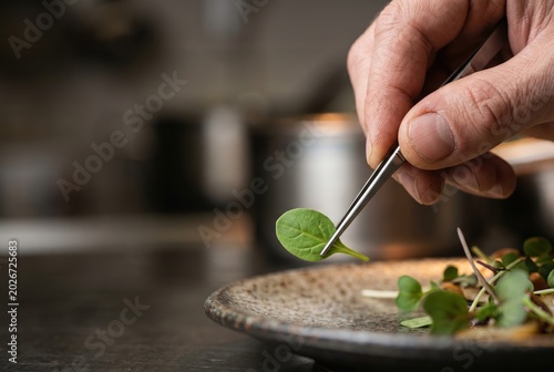 Fine detail of chef garnishing plate