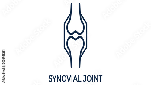 Quadro su tela Synovial joint icon depicts the skeletal connection point found in human musculoskeletal anatomy