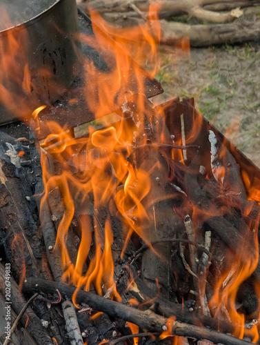 Obraz na plátně The wood burning in bonfire