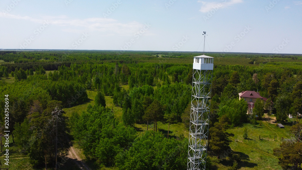 Obraz premium Forest fire watchtower overlooking a vast green woodland