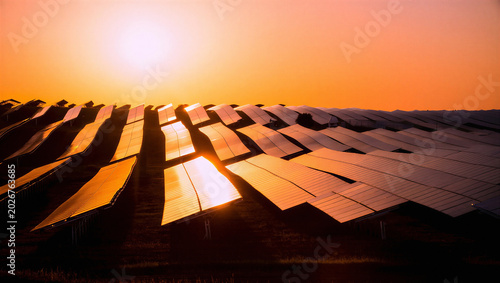 Schilderij op canvas Vast solar energy farm with many panels reflecting bright sunset sunlight renewa
