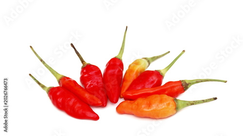 Fotografie Red cayenne pepper (cabe rawit merah) isolated on white background
