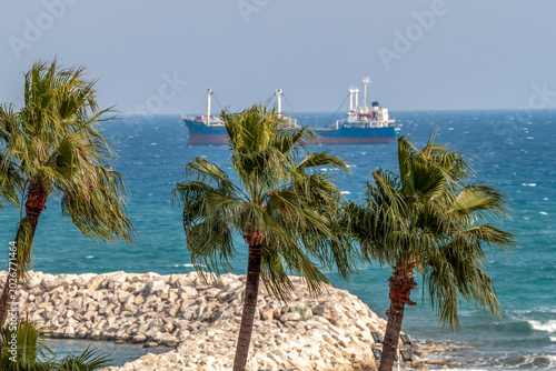 Foto Green palm trees swaying in strong wind on coastal resort background