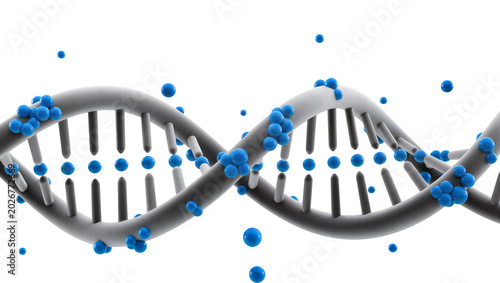 Photos Gray DNA helix structure with blue spheres, isolated on transparent background