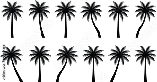 Obraz na płótnie Black palm tree silhouettes vector illustration set with various straight and curved trunks isolated on a white background