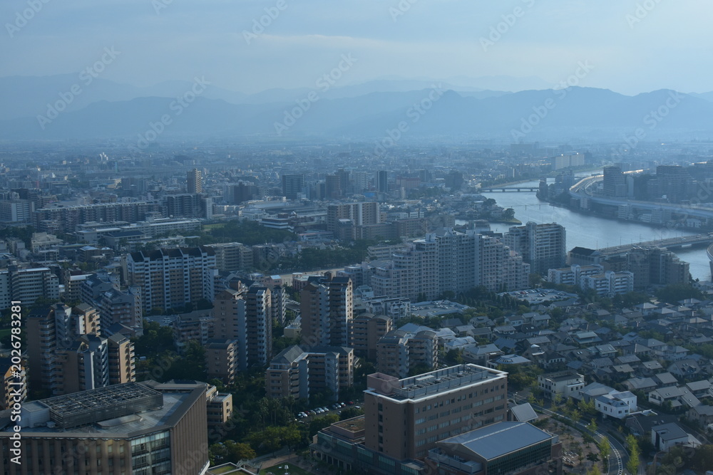 Fototapeta premium 福岡県 福岡市の福岡タワー