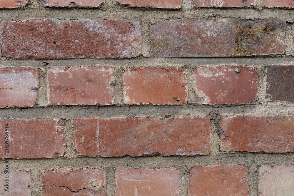 Obraz premium A close-up view of an old, weathered red brick wall showing texture and mortar details.