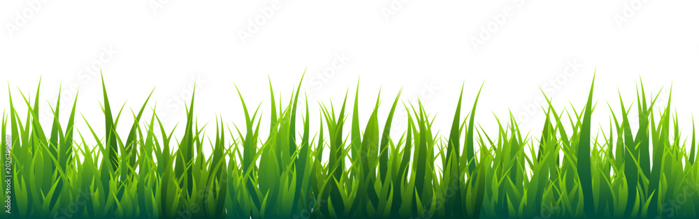 Fototapeta premium Meadow silhouette with green grass, plants on plain. Panoramic summer lawn landscape with herbs, various weeds. Herbal border, frame element. Black horizontal banners. Vector illustration