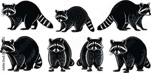 Foto Detailed raccoon wildlife black silhouette vector pack featuring textured stripe