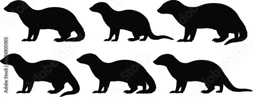 Mongoose silhouettes set vector illustration of wild carnivorous mammals in different walking poses isolated on transparent background