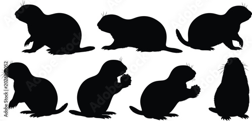 Bild auf Leinwand Prairie dog rodent black silhouette vector set featuring various sitting and eat