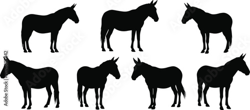 Foto Domestic mule animal black silhouette vector pack featuring various working donk