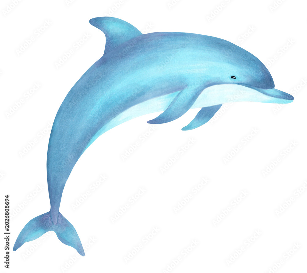 Obraz premium Adorable watercolor illustration sea animal dolphin character for children. International Dolphin Day. Hand-drawn underwater cartoon animal for baby shower invitations. Clip art for nursery wall art