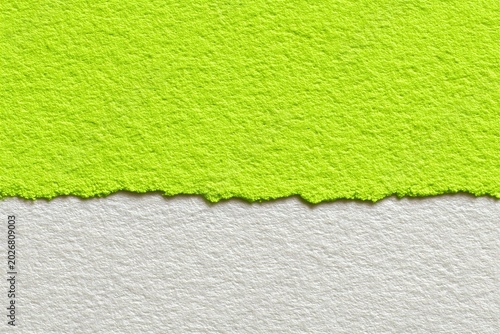A close-up view of a vibrant green and gray textured surface