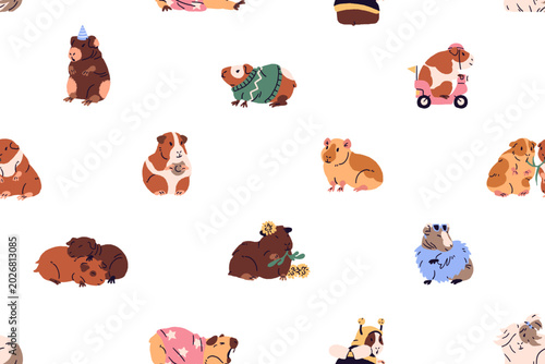 Photos Endless background of funny guinea pigs