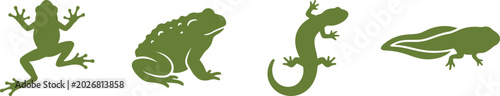 Set of green vector silhouettes featuring a frog, climbing gecko lizard, toad, and swimming tadpole isolated on a white background for nature and wildlife designs.