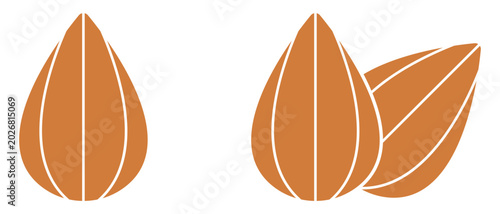 Almond icon, Almond nut vector, almond vector illustration of an abstract background
