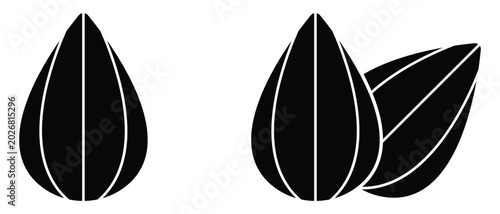 Almond icon, Almond nut vector, almond vector illustration of an abstract background