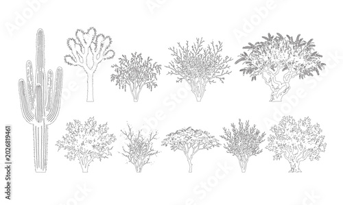 Bild auf Leinwand CAD line art desert shrub and cactus elevation set, outline arid scrub and saguaro symbols for southwestern landscape and architectural design plans